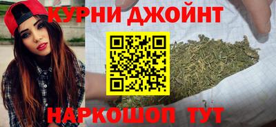 сатива Михайловка