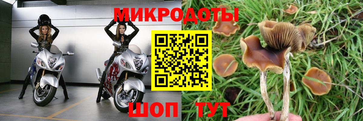 Псилоцибиновые грибы Psilocybine cubensis  Вход с VPN  Галлюциногенные грибы Cubensis  продажа наркотиков  Ленинск-Кузнецкий 